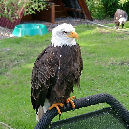 In Am Teutoburger Wald Tatil Evi Lichtenau (Westphalia)