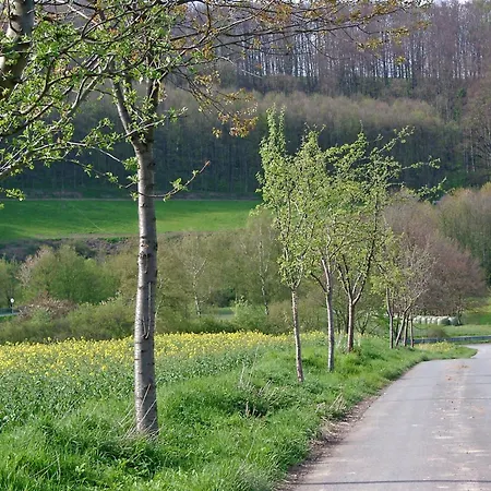 In Am Teutoburger Wald 펜션 Lichtenau (Westphalia)