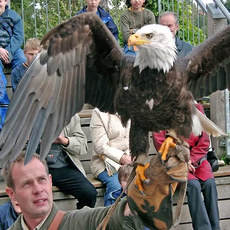 In Am Teutoburger Wald *
