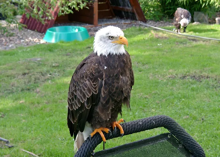 In Am Teutoburger Wald Casa vacanze Lichtenau (Westphalia)